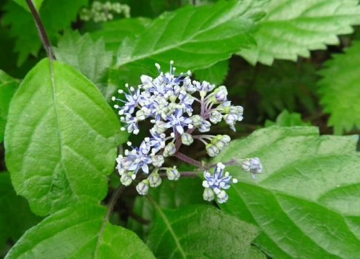 a0018655_10131301.jpg