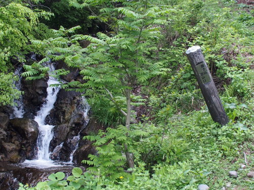 b0335256_11462916.jpg