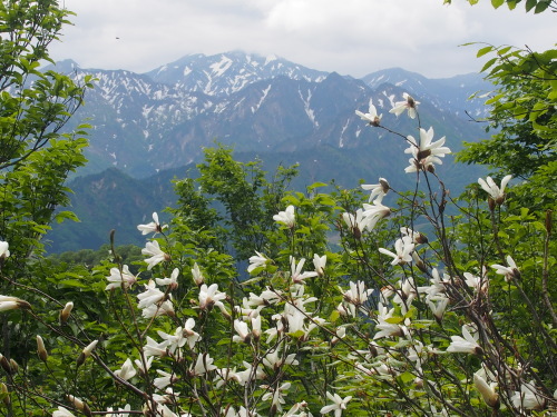 b0335256_12544436.jpg