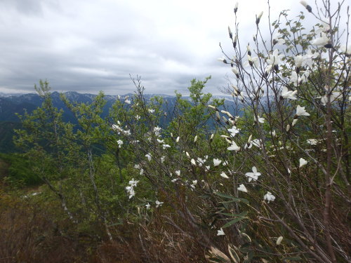 b0335256_15091852.jpg