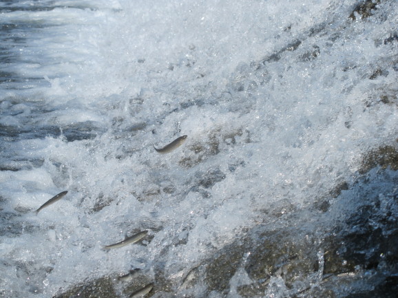 d0226259_17050760.jpg