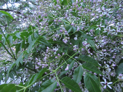 f0113862_21403195.jpg