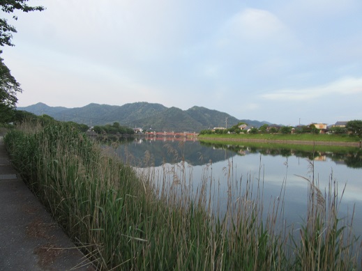 f0113862_21415526.jpg