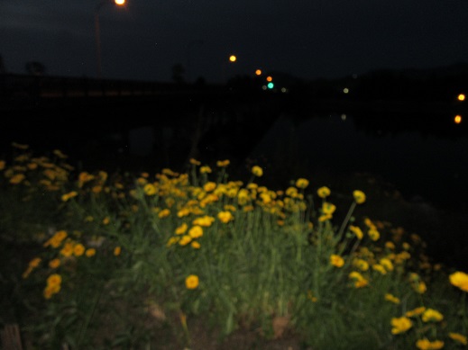 f0113862_21512761.jpg
