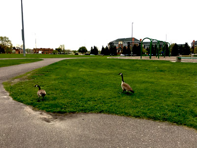 c0242063_2354283.jpg