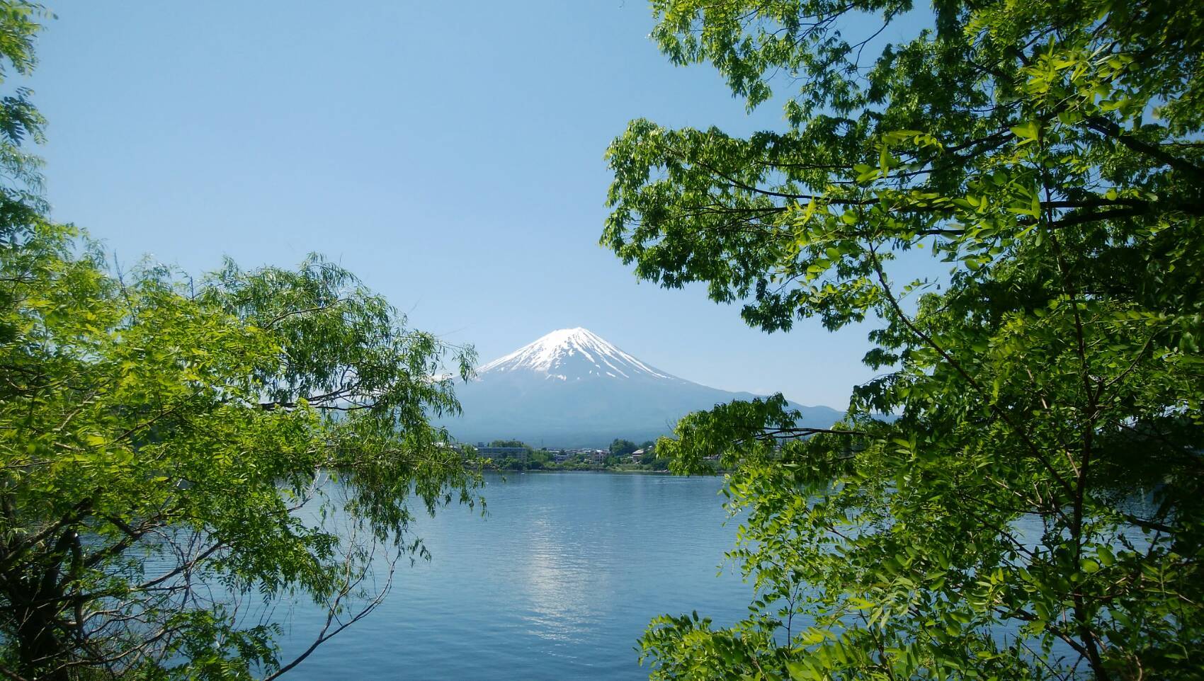 d0052263_13155614.jpg