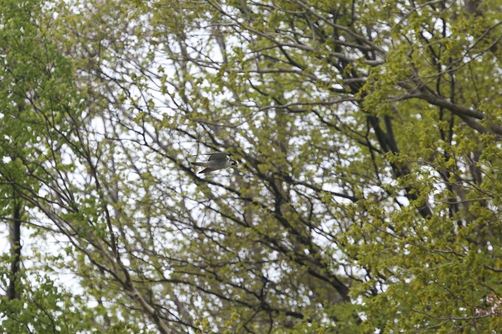 f0347565_15511920.jpg