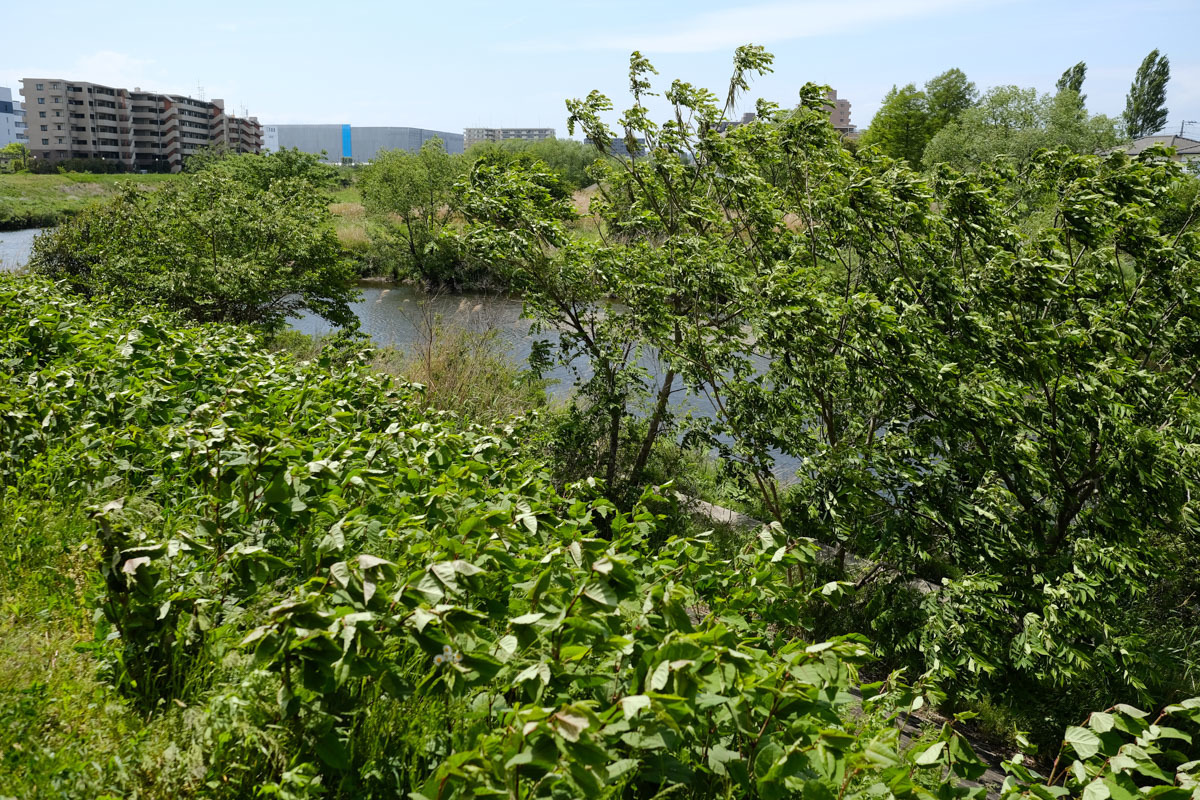 c0084666_02034655.jpg