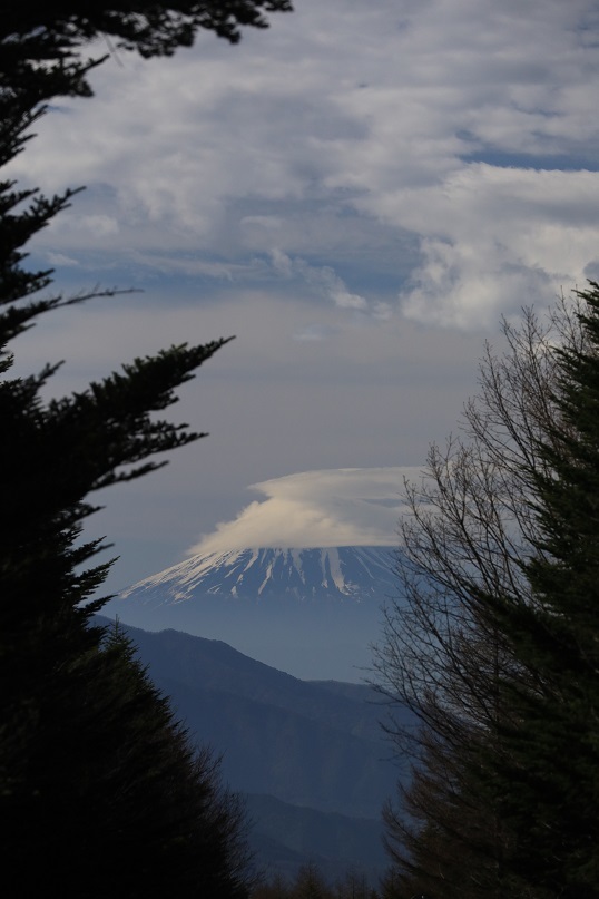 e0304170_12282372.jpg