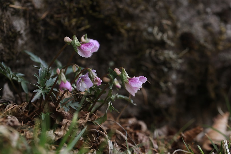 e0304170_12290934.jpg