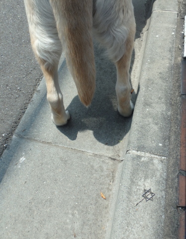 f0052277_01300810.jpg