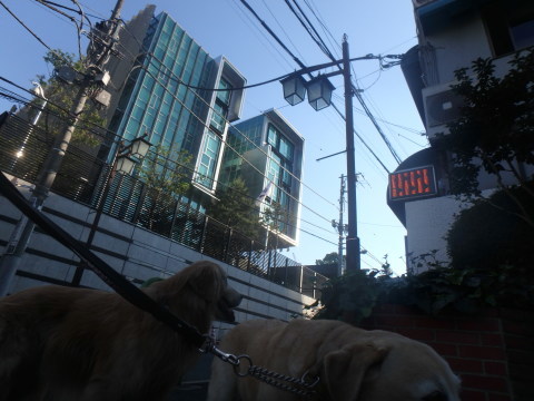 f0052277_01394811.jpg