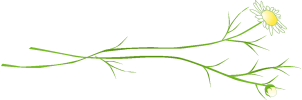 f0160678_1826876.gif