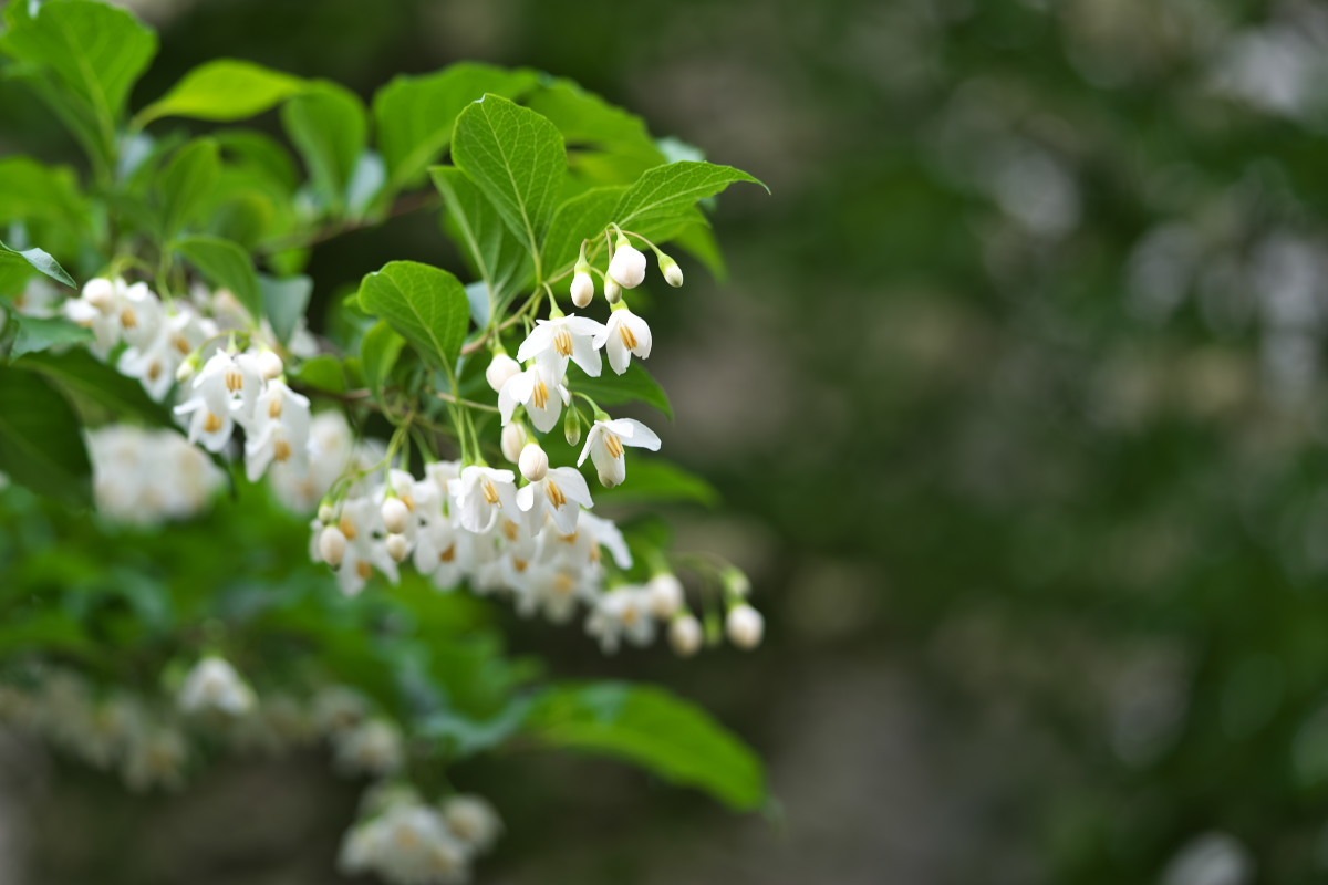 a0083081_18013073.jpg