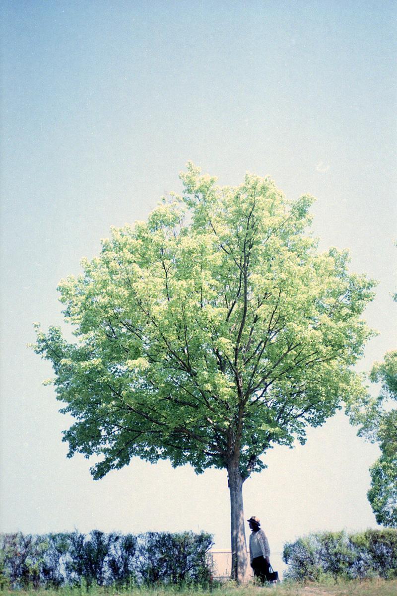 f0159784_22331115.jpg