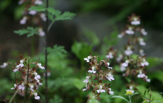 c0144185_166018.jpg