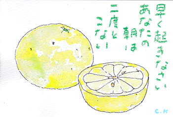 a0030594_00014657.gif