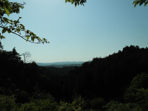 c0108198_16483227.jpg