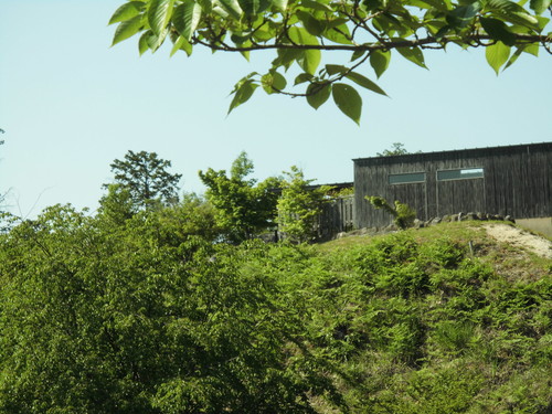 c0108198_1649118.jpg