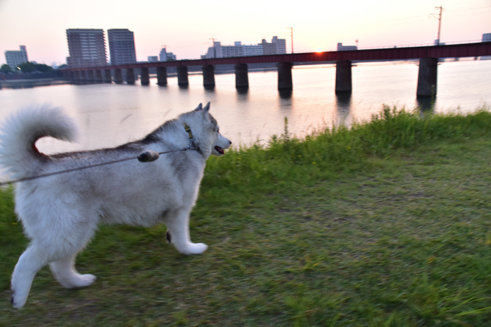 c0049299_22043948.jpg