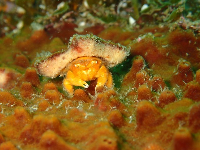 e0115199_12295512.jpg