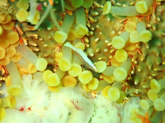 e0115199_12333584.jpg