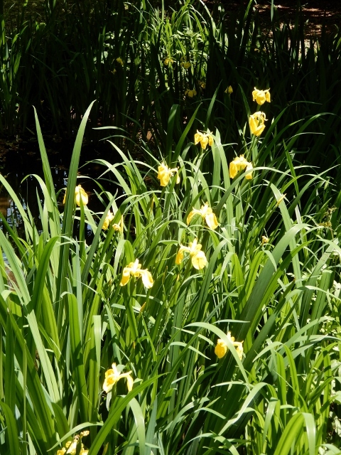 e0025300_22122717.jpg