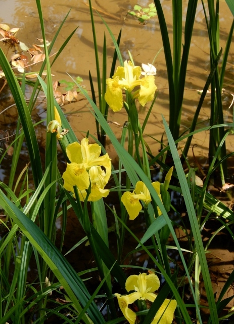 e0025300_22123862.jpg