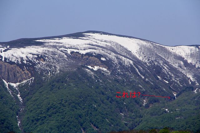 e0137200_1851187.jpg