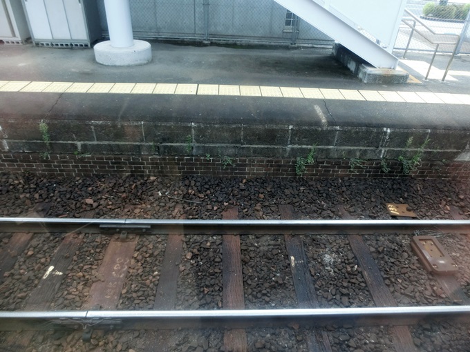 d0004301_8303121.jpg