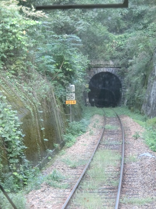 d0004301_831496.jpg