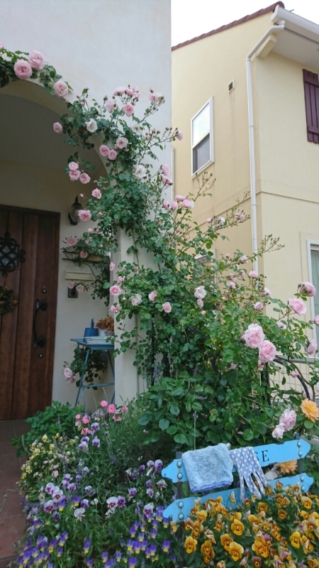 f0371101_20523986.jpg