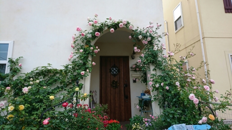 f0371101_20524193.jpg
