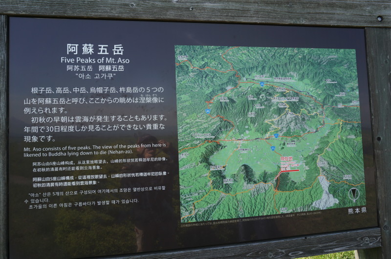 d0363206_11330004.jpg