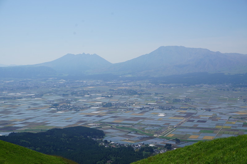 d0363206_11331394.jpg