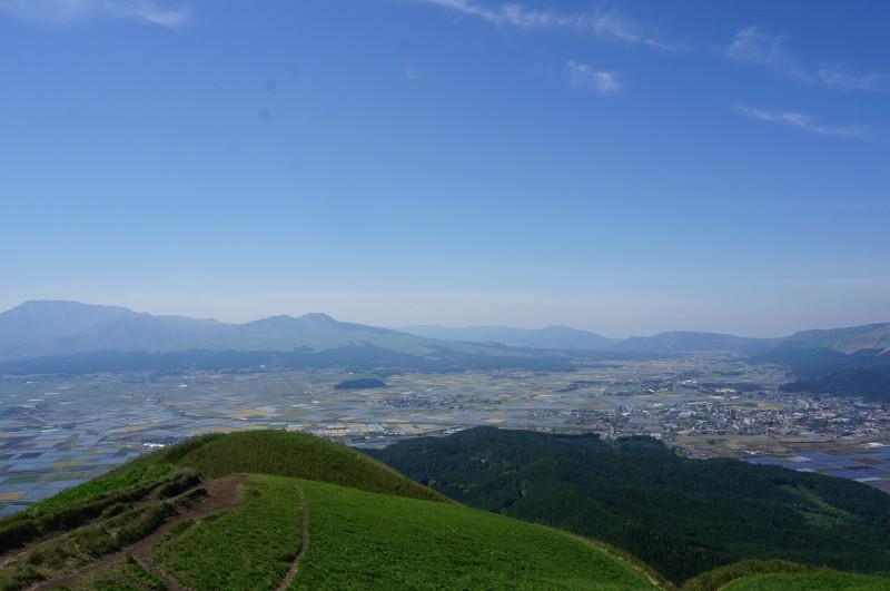 d0363206_11352083.jpg