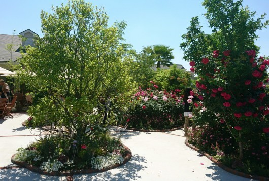 c0179308_13294940.jpg