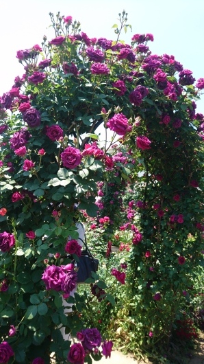 c0179308_13333843.jpg
