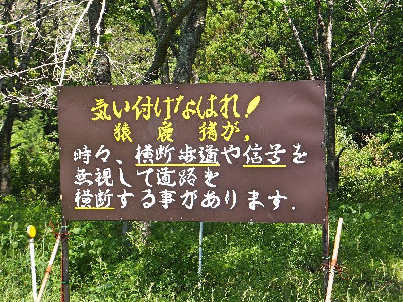 b0000209_17192534.jpg