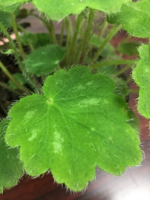 b0279109_05161731.jpg