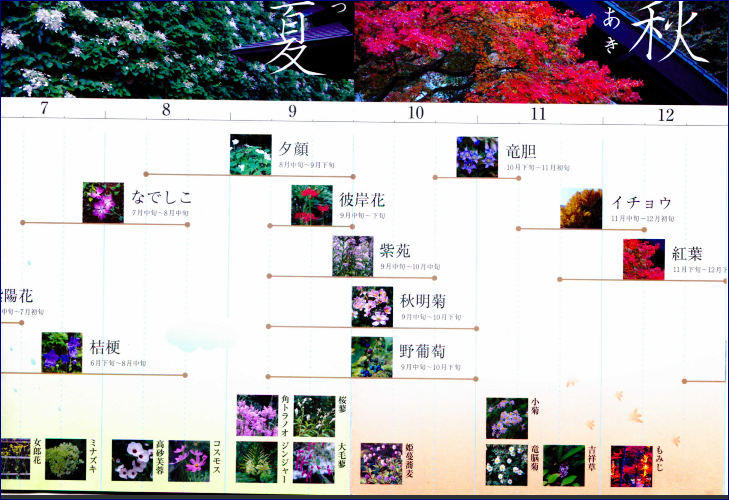 f0231709_21474734.png