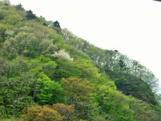 b0064411_07534900.jpg
