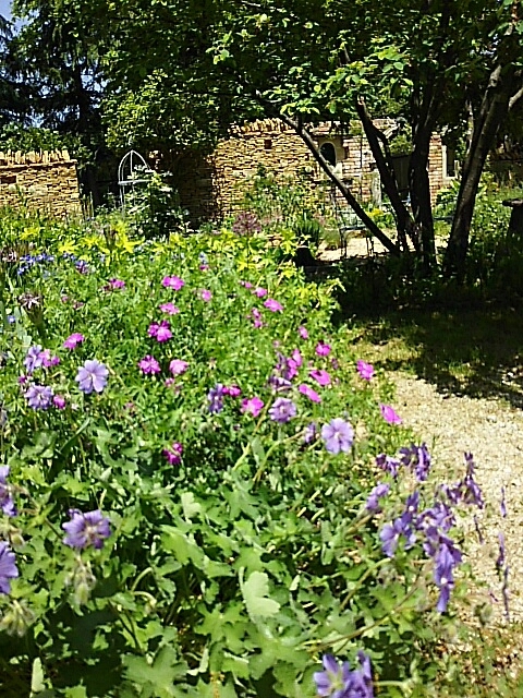 f0150612_08152129.jpg
