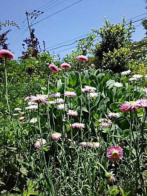 f0150612_08152870.jpg