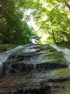 c0359615_21400782.jpg