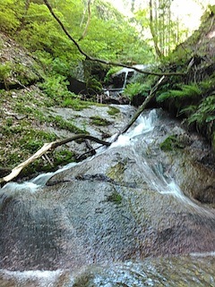 c0359615_21402118.jpg