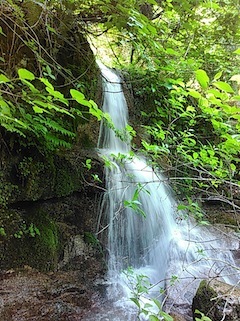 c0359615_21405449.jpg