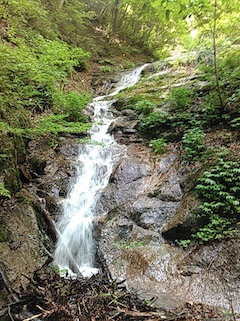 c0359615_21414834.jpg