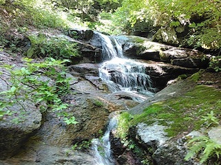 c0359615_21420150.jpg
