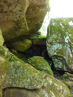 c0359615_21421455.jpg